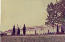 Il Campo di San Giuliano nel 1964 (Archivio La Fenice Asd)