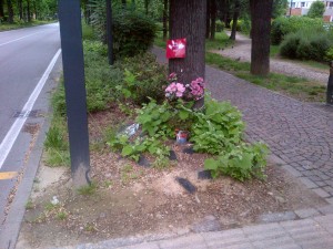 Il “monumento alla morte stupida” in Rotonda Garibaldi